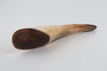 Restored woolly mammoth tusk tip