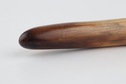 Restored woolly mammoth tusk tip
