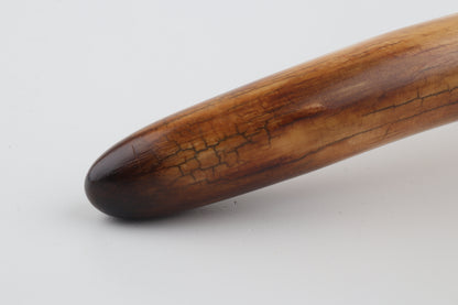 Restored woolly mammoth tusk tip