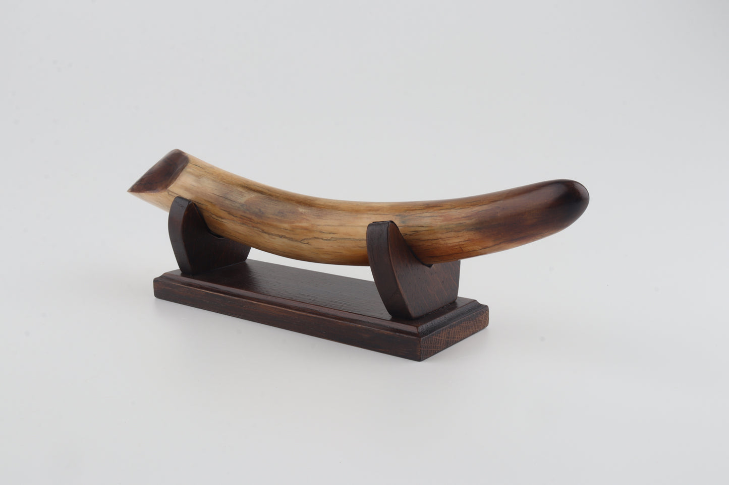 Restored woolly mammoth tusk tip