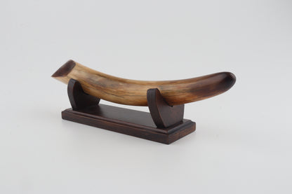 Restored woolly mammoth tusk tip