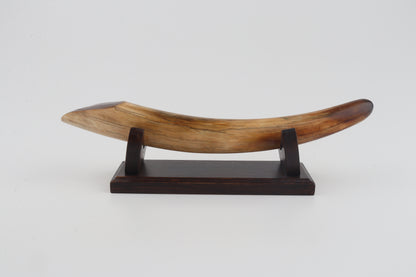 Restored woolly mammoth tusk tip