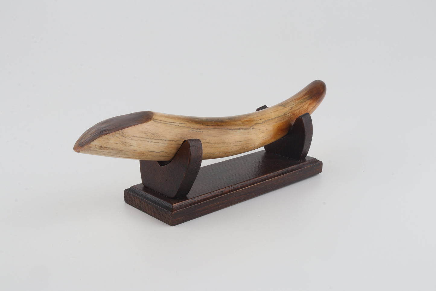 Restored woolly mammoth tusk tip