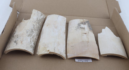 Untreated mammoth ivory pieces