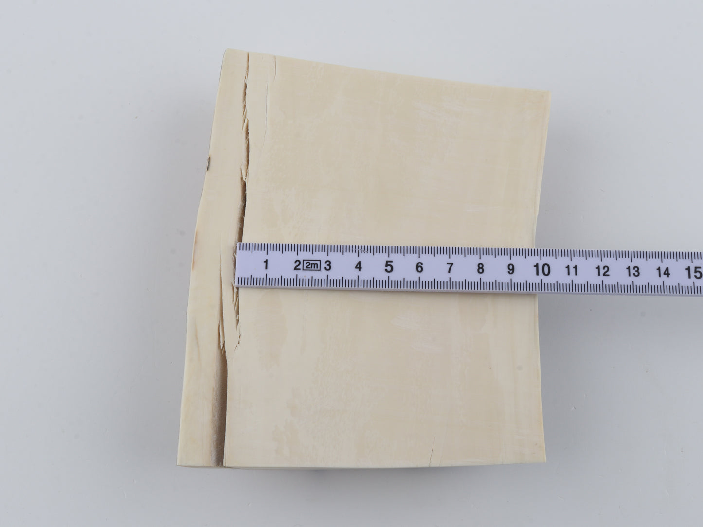 Natural mammoth ivory piece