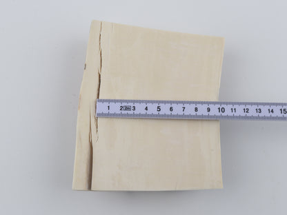 Natural mammoth ivory piece