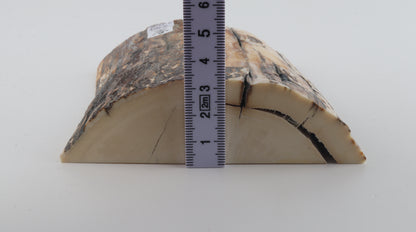 Natural mammoth ivory piece