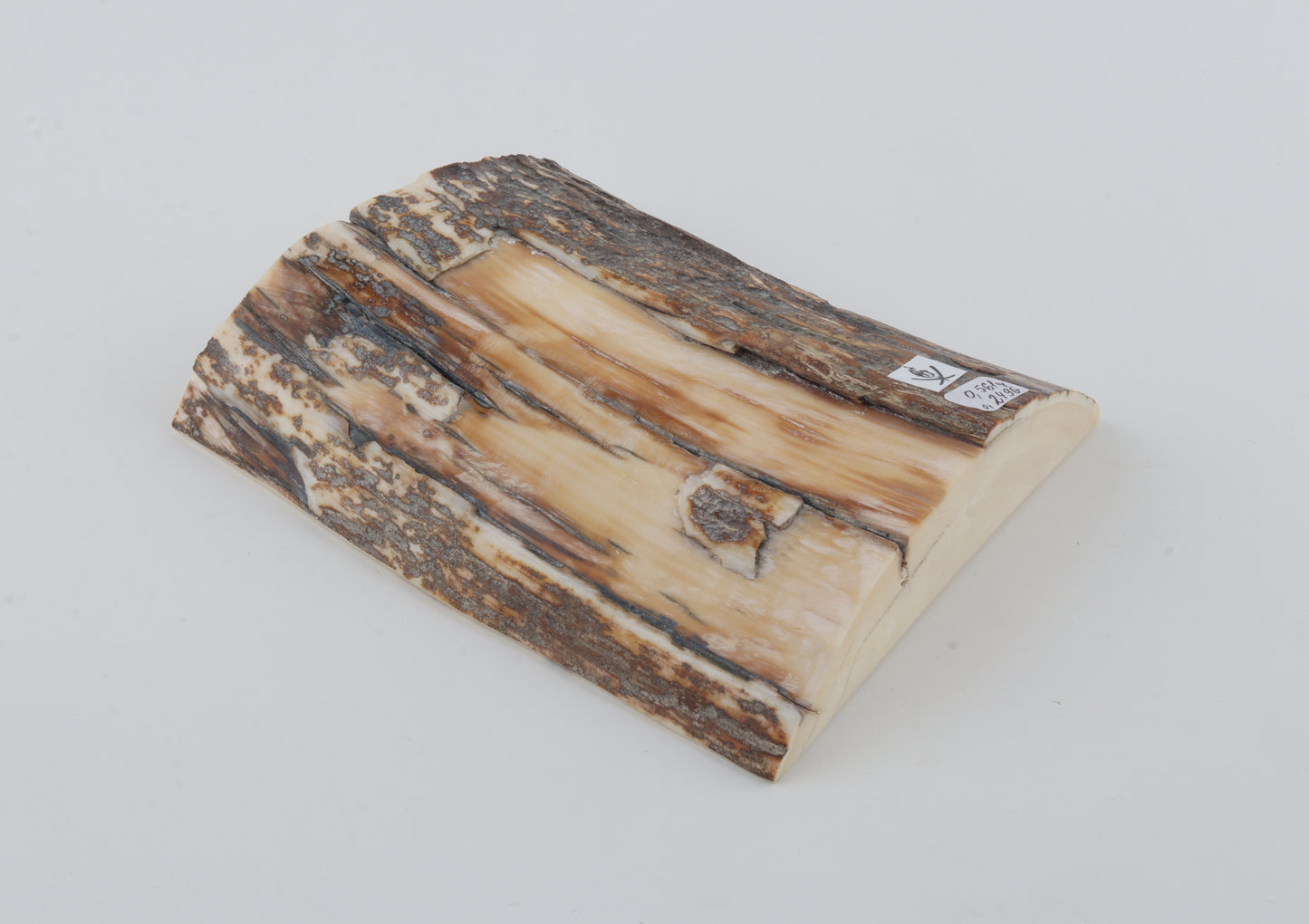 Natural mammoth ivory piece