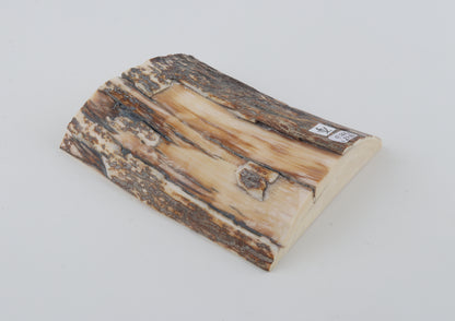 Natural mammoth ivory piece