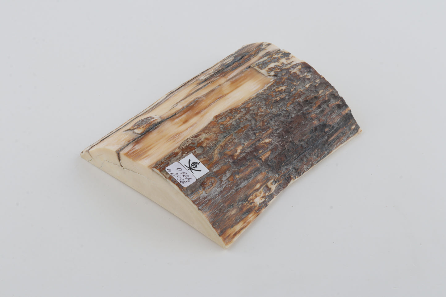 Natural mammoth ivory piece