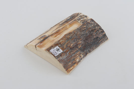 Natural mammoth ivory piece