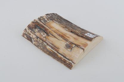 Natural mammoth ivory piece