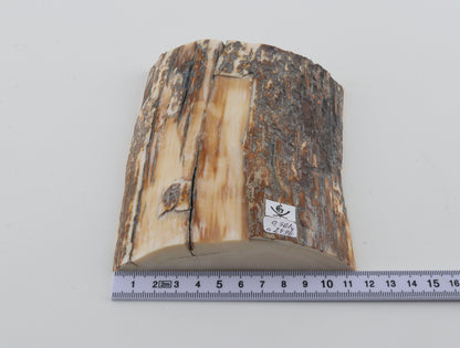 Natural mammoth ivory piece