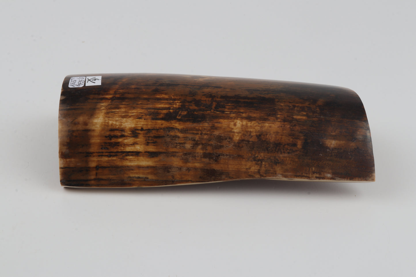 Brown woolly mammoth bark