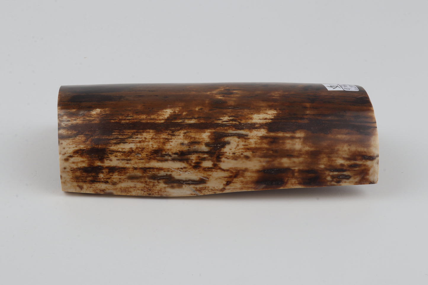 Brown woolly mammoth bark