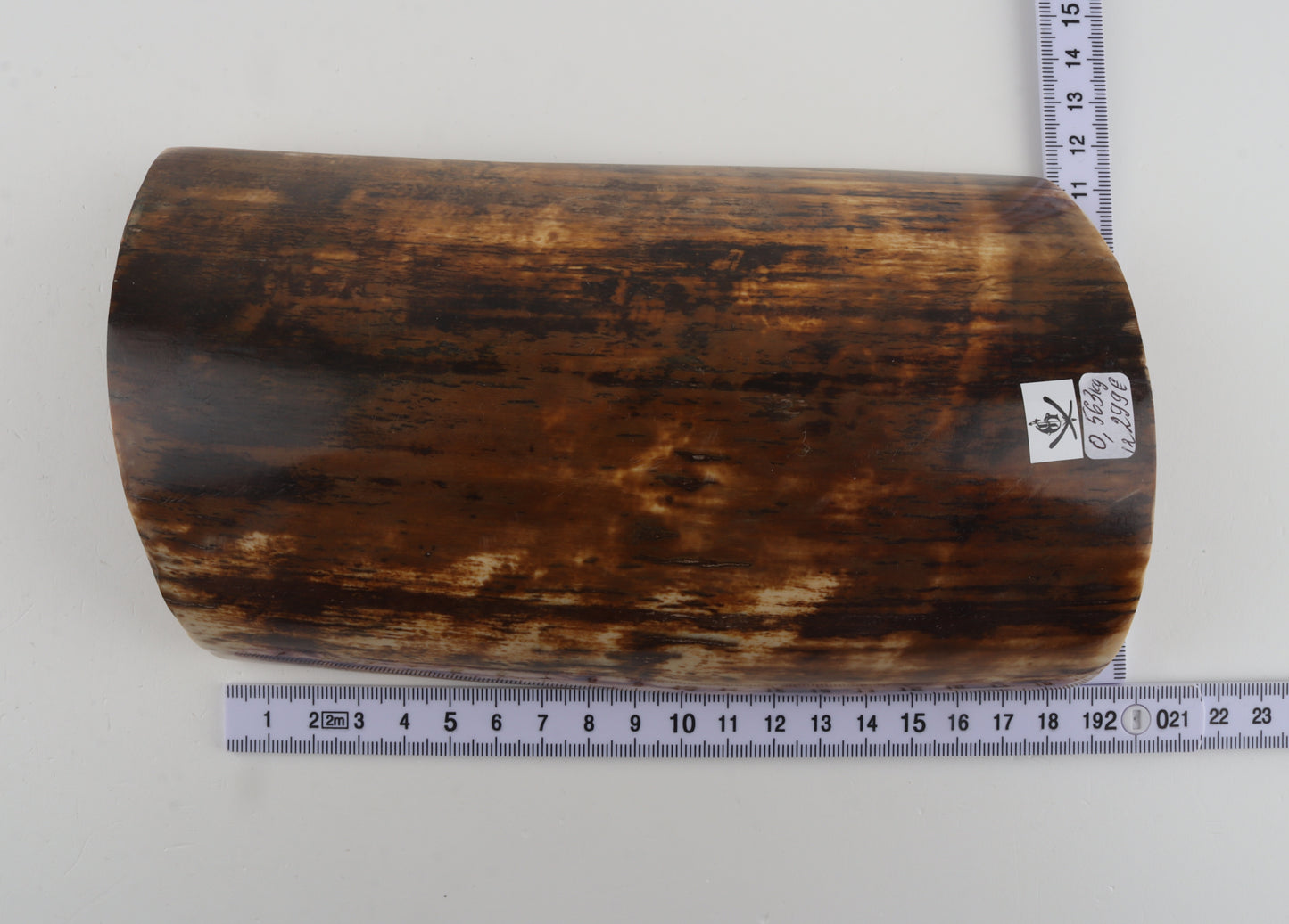 Brown woolly mammoth bark