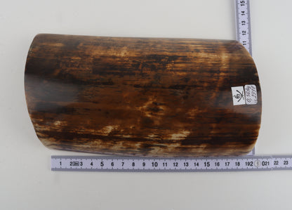 Brown woolly mammoth bark