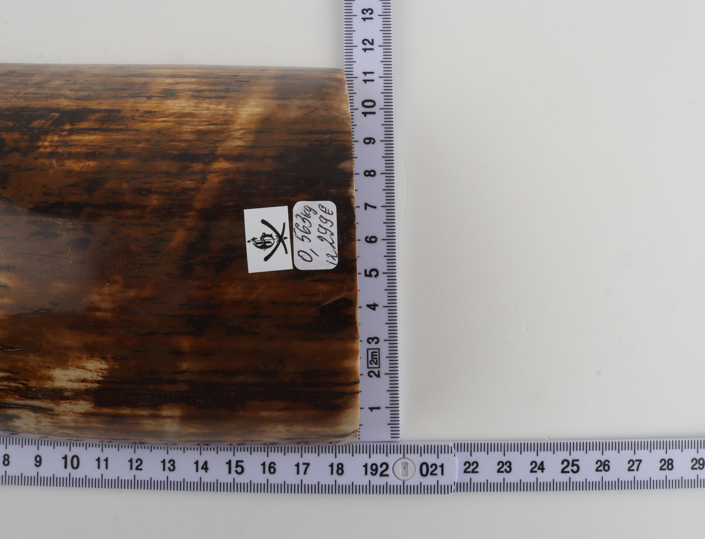 Brown woolly mammoth bark