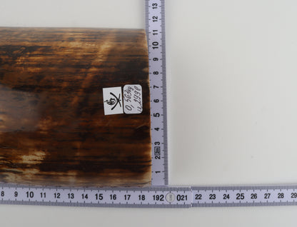 Brown woolly mammoth bark