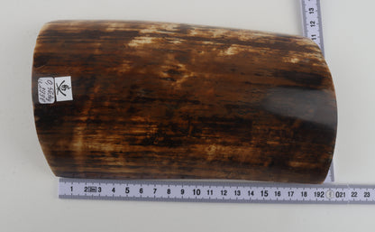 Brown woolly mammoth bark