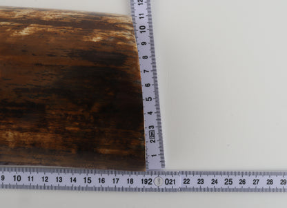 Brown woolly mammoth bark