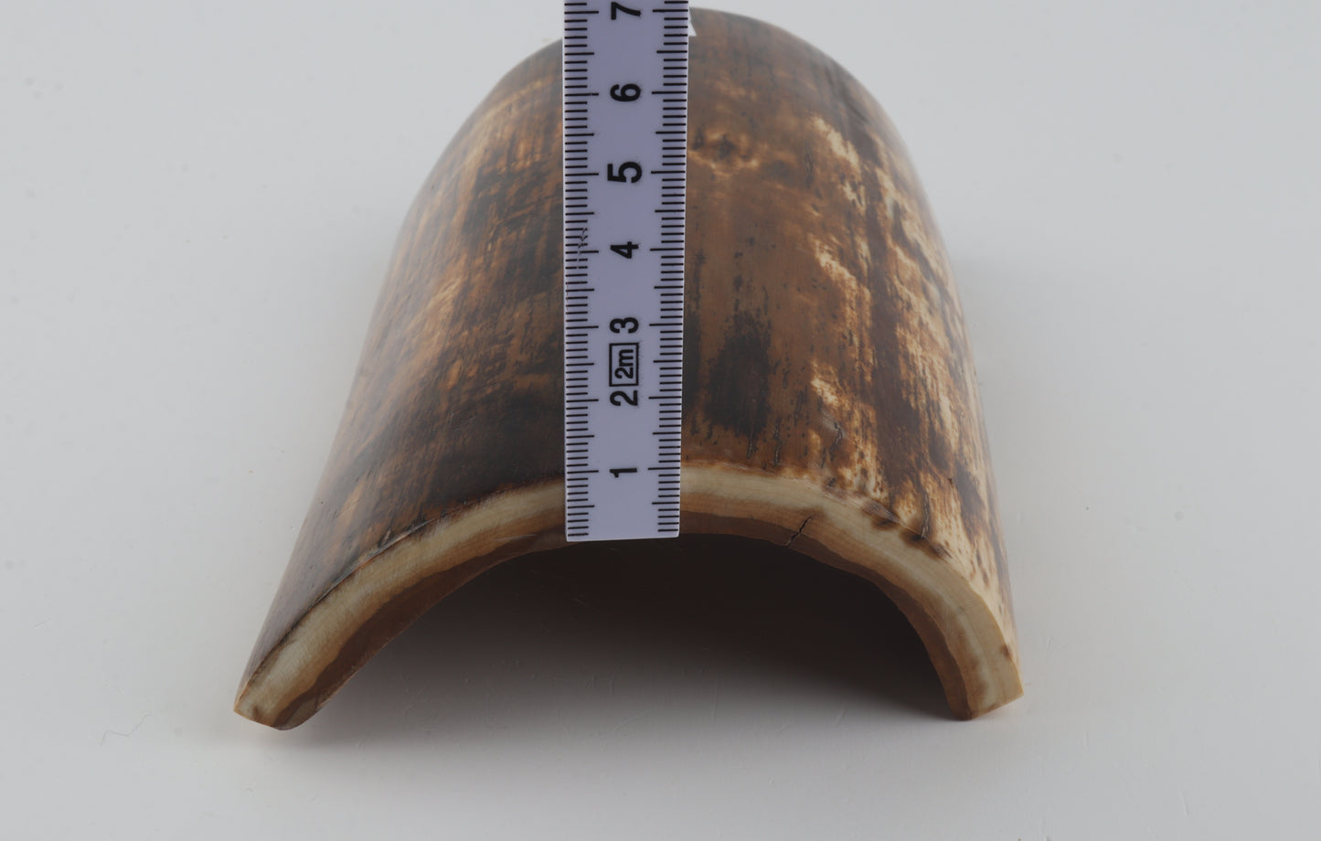 Brown woolly mammoth bark