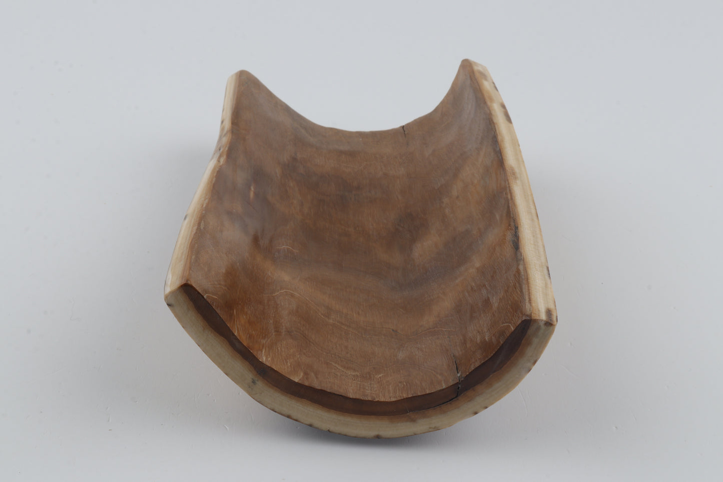 Brown woolly mammoth bark