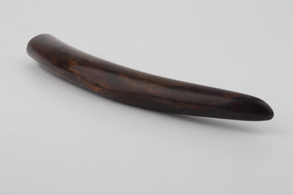 Restored woolly mammoth tusk