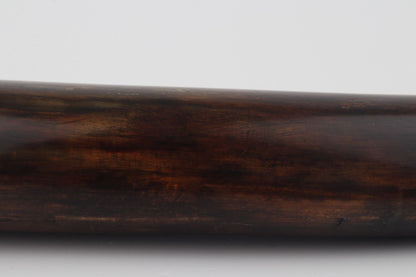 Restored woolly mammoth tusk