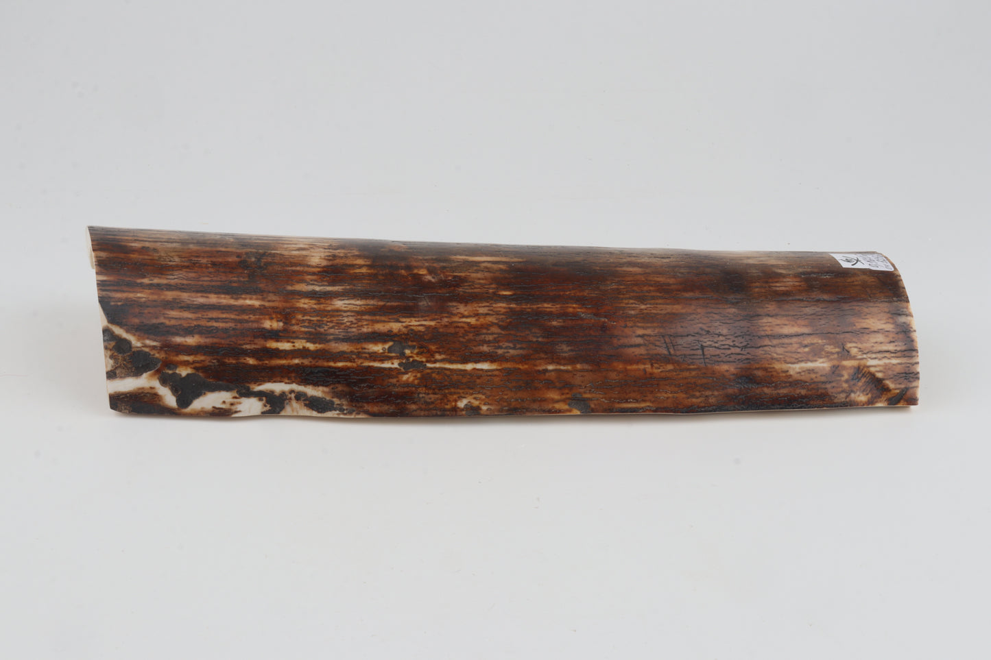 Brown-orange mammoth bark