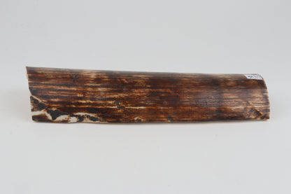 Brown-orange mammoth bark