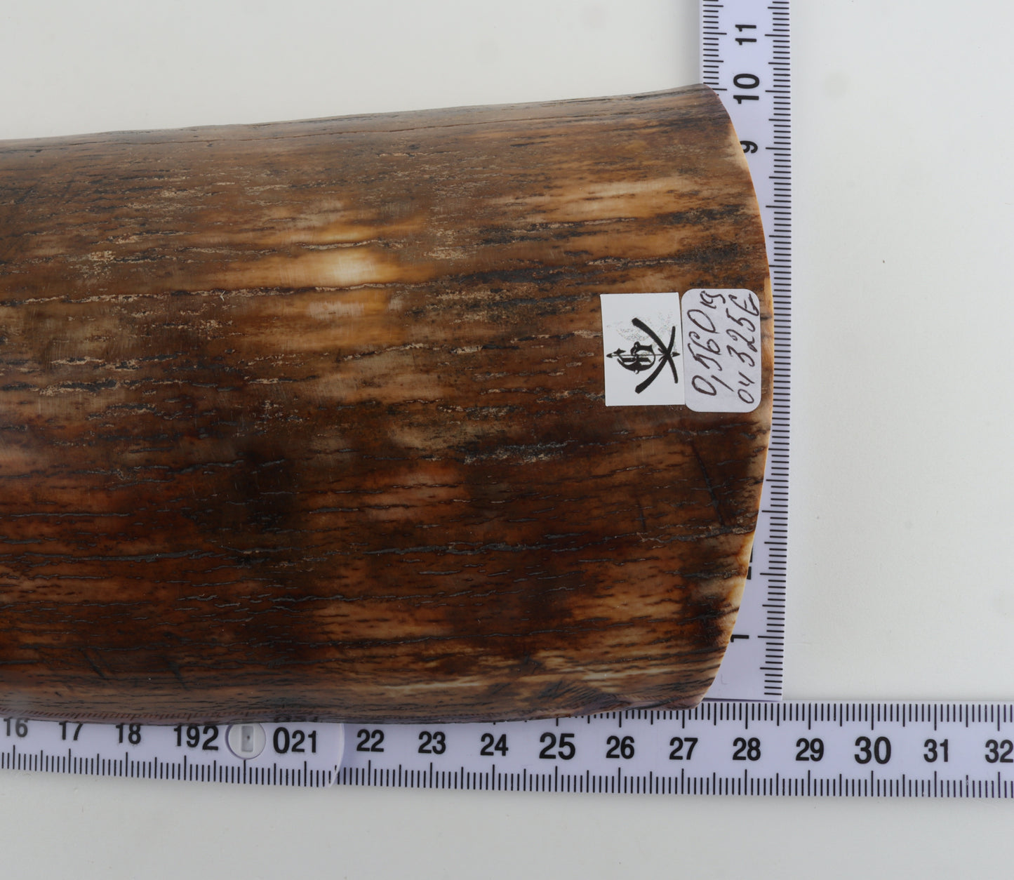 Brown-orange mammoth bark