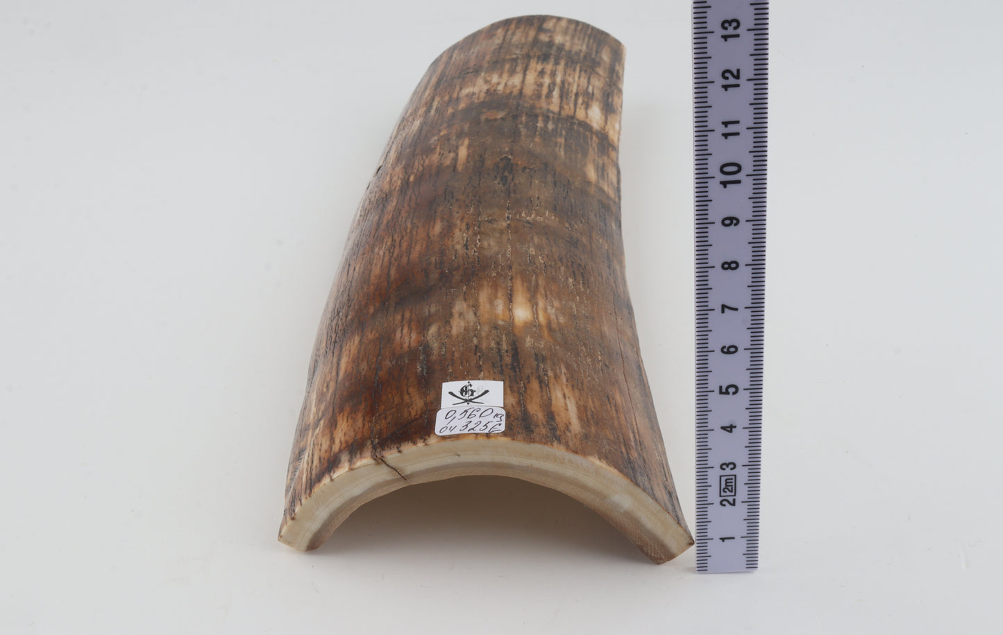 Brown-orange mammoth bark