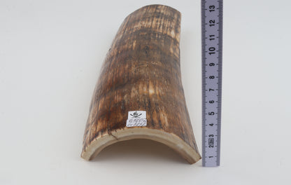 Brown-orange mammoth bark