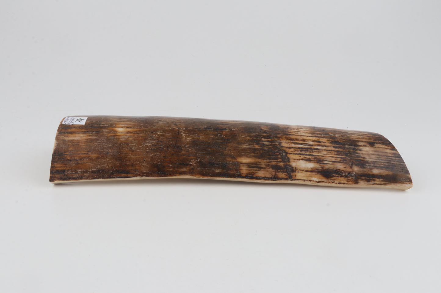 Brown-orange mammoth bark