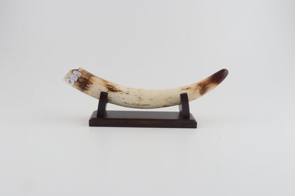 Restored woolly mammoth tusk tip