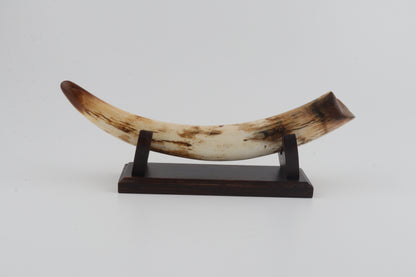 Restored woolly mammoth tusk tip
