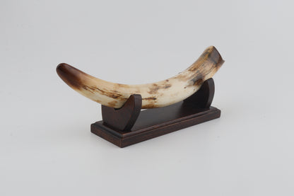 Restored woolly mammoth tusk tip