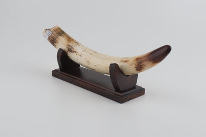 Restored woolly mammoth tusk tip