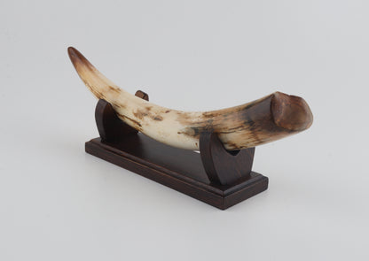Restored woolly mammoth tusk tip
