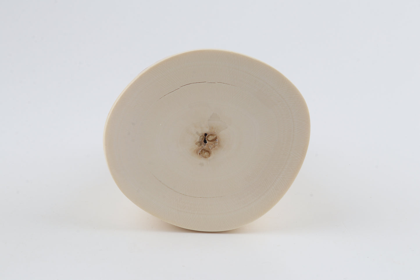 Round mammoth tusk piece