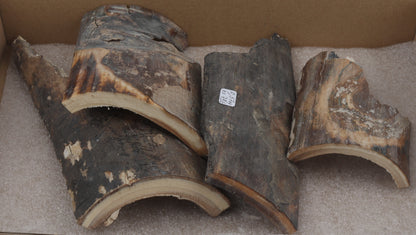 Untreated mammoth bark pieces