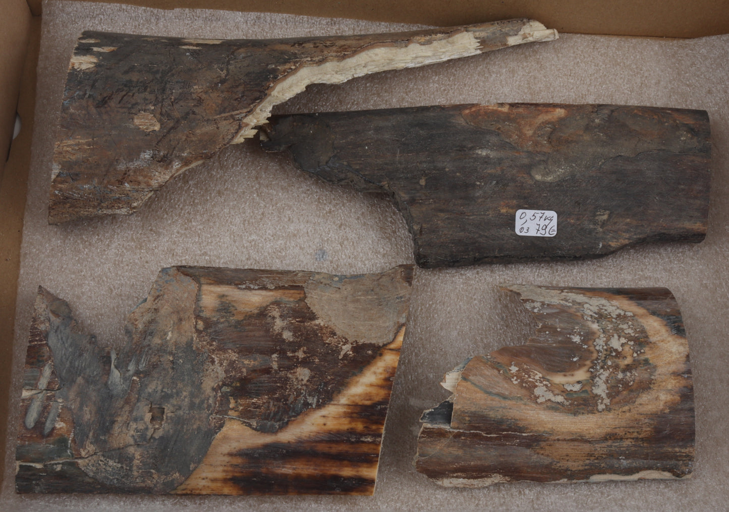 Untreated mammoth bark pieces