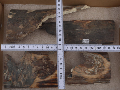 Untreated mammoth bark pieces