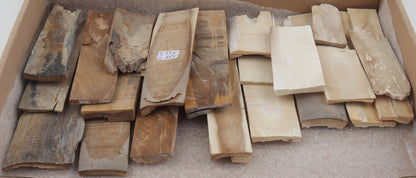 Untreated mammoth ivory pieces