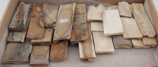 Untreated mammoth ivory pieces