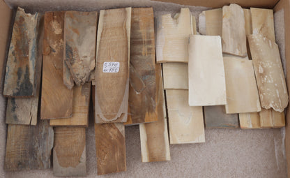 Untreated mammoth ivory pieces