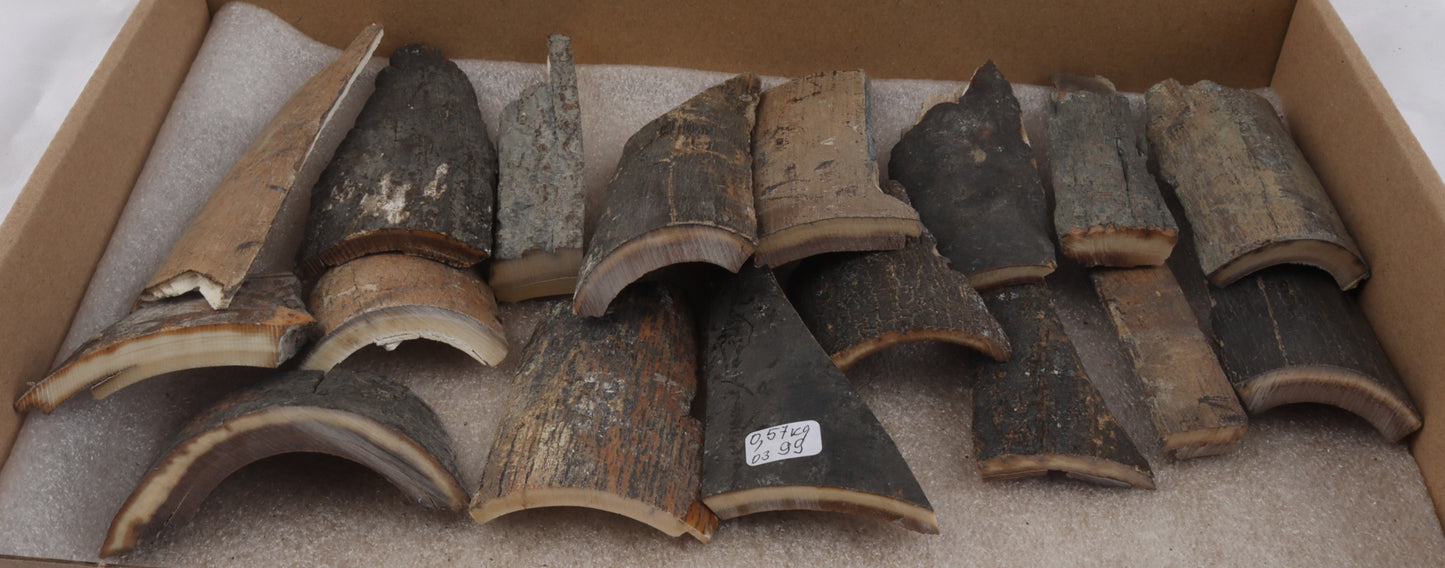 Raw mammoth bark pieces