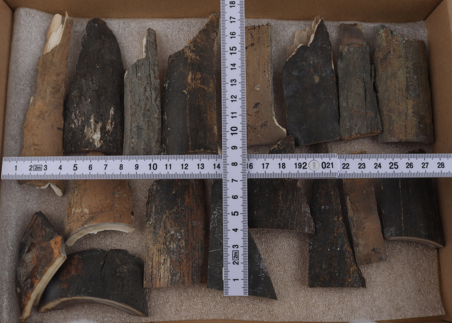 Raw mammoth bark pieces
