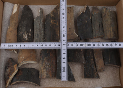 Raw mammoth bark pieces